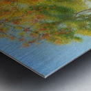 Achille Lauge Art 33 Metal print