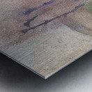 Achille Lauge Art 34 Metal print