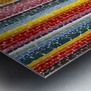 Alma Thomas 12 Metal print