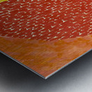 Alma Thomas 35 Metal print