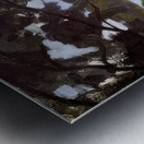 Albert Marquet  11 Metal print