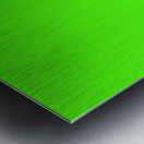 Albert Marquet  18 Metal print