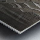 Paul Nash 2 Metal print