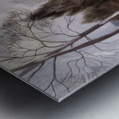 Paul Nash 13 Metal print