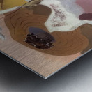 Paul Nash 37 Metal print