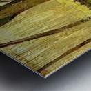 Paul Nash 21 Metal print