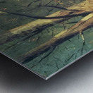 Paul Nash 54 Metal print