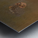 Paul Nash 75 Metal print