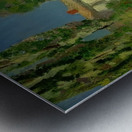 Odilon Redon 3 Metal print