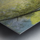 Odilon Redon 10 Metal print