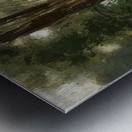 Odilon Redon 24 Metal print