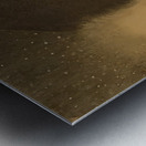 Odilon Redon 32 Metal print