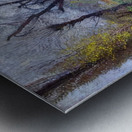  Art by Henri Martin 4 Metal print