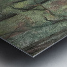  Art by Henri Martin 67 Metal print