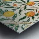 William Morris 21 Metal print