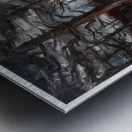 Maurice de Vlaminck 21 Metal print