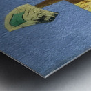 Max Ernst 5 Metal print