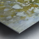 Max Ernst 10 Metal print