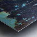 Max Ernst 13 Metal print