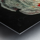 Max Ernst 16 Metal print