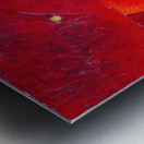 Max Ernst 17 Metal print