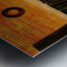 Max Ernst 20 Metal print