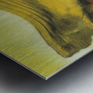 Max Ernst 21 Metal print