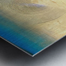 Max Ernst 22 Metal print