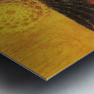 Max Ernst 29 Metal print