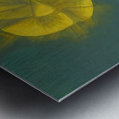 Max Ernst 30 Metal print