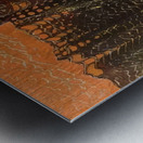 Max Ernst 33 Metal print