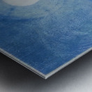 Max Ernst 36 Metal print