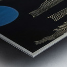 Max Ernst 41 Metal print