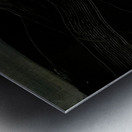 Max Ernst 43 Metal print