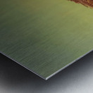 Max Ernst 44 Metal print