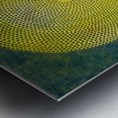 Max Ernst 46 Metal print