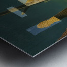 Max Ernst 48 Metal print