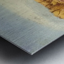 Max Ernst 2 Metal print