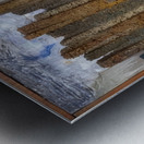 Max Ernst 7 Metal print