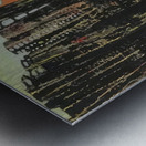 Max Ernst 10 Metal print