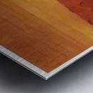 Max Ernst 12 Metal print