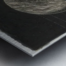 Max Ernst 14 Metal print