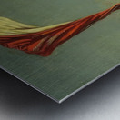 Max Ernst 19 Metal print