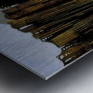 Max Ernst 20 Metal print