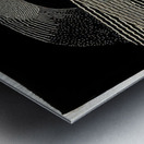 Max Ernst 21 Metal print