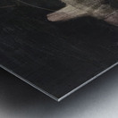 Max Ernst 22 Metal print