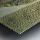 Max Ernst 28 Metal print