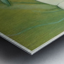 Max Ernst 29 Metal print