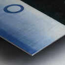 Max Ernst 32 Metal print