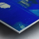 Max Ernst 35 Metal print